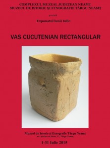 exponatul lunii iulie