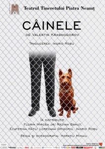 24-ap187-foto2 Cainele